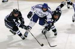 开云官网-欧陆烽火的双面叙事，多特蒙德橙色风暴与本泽马的迟暮烈焰