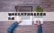 开云体育官方网站-柏林熊队阿罗纳维桑恩遭遇伤病的简单介绍