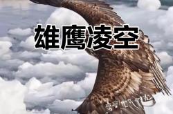 开云官网-腓特烈港力擒对手，雄鹰展翅飞翔