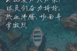 开云体育登录-包含球场竞技风起云涌，背后辛酸付出的词条