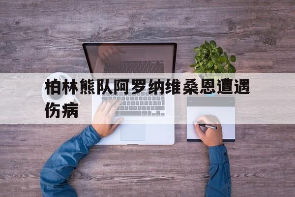 柏林熊队阿罗纳维桑恩遭遇伤病的简单介绍