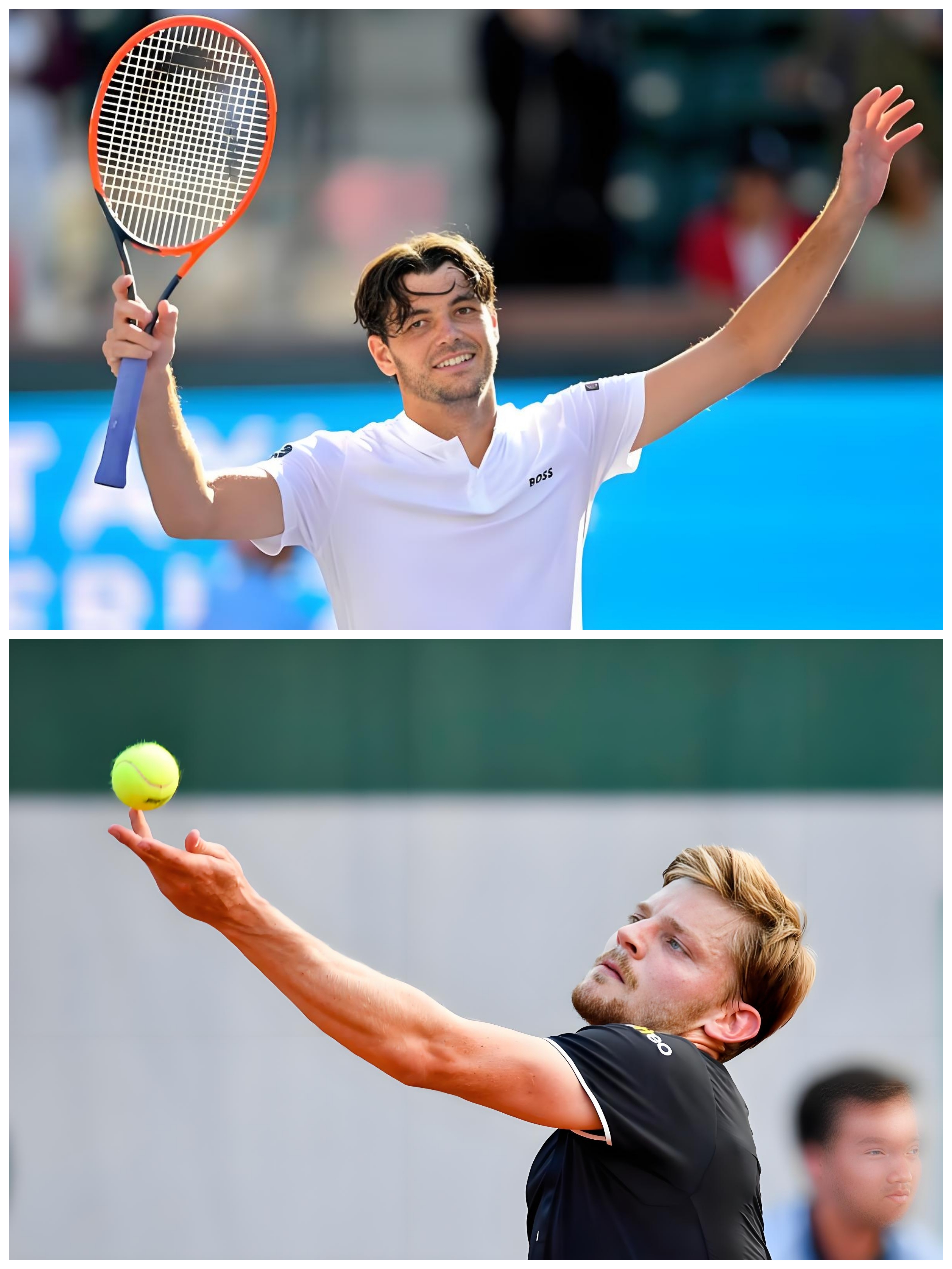 蒙特卡洛大师赛横扫戴维斯杯,辛纳点燃赛场的简单介绍 蒙特卡洛大师赛横扫戴维斯杯,辛纳点燃赛场的简单介绍